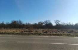 Teren intravilan de vanzare, 1.000 mp, zona RASOVITA