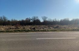 Teren intravilan de vanzare, 1.000 mp, zona RASOVITA