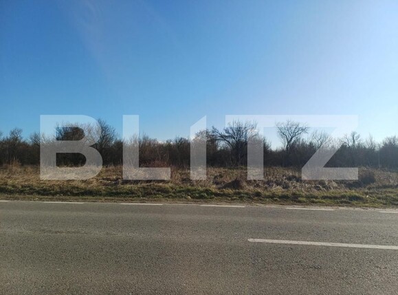Teren de vânzare Nord Vest - 188644TV | BLITZ Târgu Jiu | Poza3