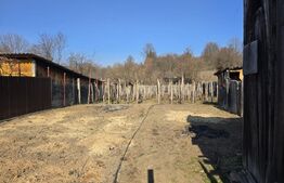 Casa de vanzare,  zona DRAGOIENI