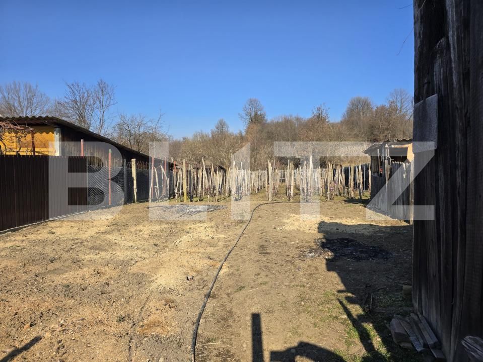 Casa de vânzare 2 camere Est - 188867CV | BLITZ Târgu Jiu | Poza3