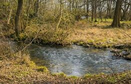 Teren 1907 mp - Zona Arcani