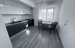 Apartament 2 camere decomandat - Zona Comuna din Paris