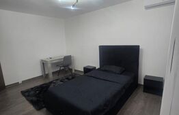 Garsoniera ultra centrala