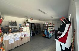 Statie Peco Prigoria