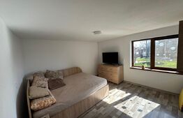 Casa de vanzare, Dragoieni