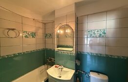 Apartament 2 camere, decomadat, zona Republicii