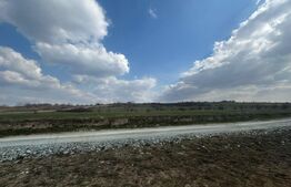 Teren extravilan Cartier Vadeni 