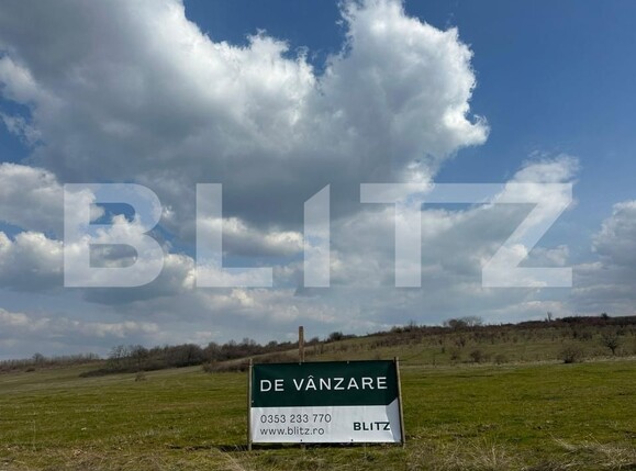 Teren de vânzare Centura Narciselor - 190640TV | BLITZ Târgu Jiu | Poza1