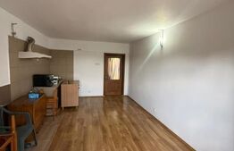 Casa spatioasa, S+P+1,  250mp, Str Ana Ipătescu