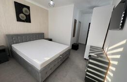 Garosniera de închiriat, 22 mp, zona Lotrului