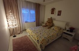 Apartament de vanzare, cu 3 camere, 67 mp, zona parc Debarcader