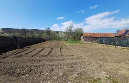 Teren cu casa rustica zona Sambotin