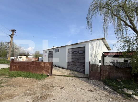 Spațiu industrial de închiriat Exterior Nord - 192925SII | BLITZ Târgu Jiu | Poza1