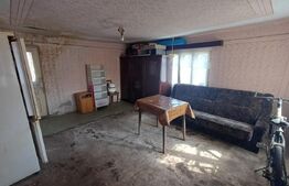 Casa batraneasca, renovabila, 1000 mp, front 18 ml, zona Arcani