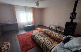 Casa batraneasca, renovabila, 1000 mp, front 18 ml, zona Arcani