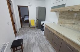 Casa individuala, 27mp, drum de servitute, zona centrala - Târgu Jiu