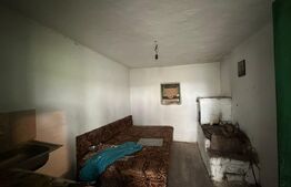 Casa de vanzare, 3 camere, 80 mp + teren de 2.077 mp - Curtisoara