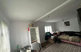 Casa de vanzare, 3 camere, 80 mp + teren de 2.077 mp - Curtisoara