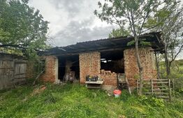 Casa de vanzare, 3 camere, 80 mp + teren de 2.077 mp - Curtisoara