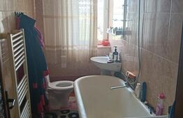 Apartament de vanzare, cu 2 camere decomandat, 45 mp, zona Ecateriana Teodoroiu