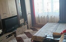 Apartament de vanzare, cu 2 camere decomandat, 40 mp, zona Ecateriana Teodoroiu