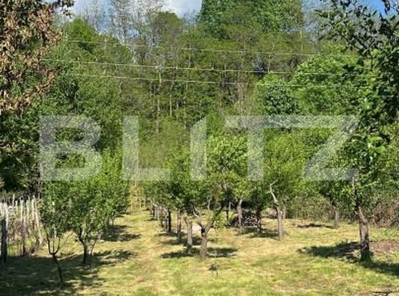 Casa de vânzare 4 camere Exterior Est - 193759CV | BLITZ Târgu Jiu | Poza14