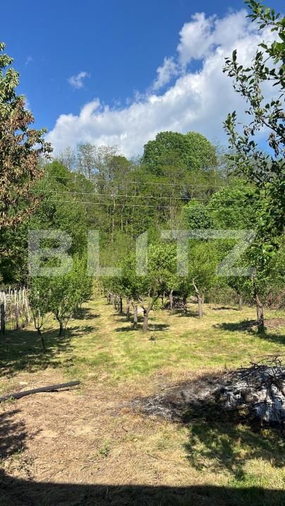 Casa de vânzare 4 camere Exterior Est - 193759CV | BLITZ Târgu Jiu | Poza14