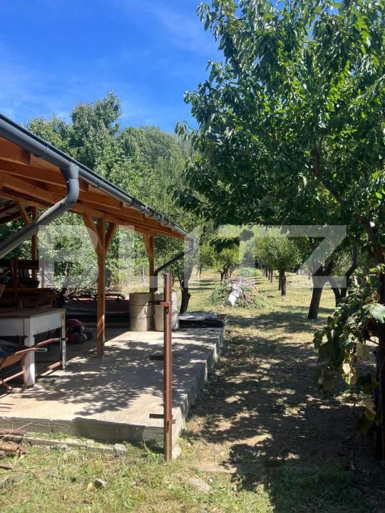 Casa de vânzare 4 camere Exterior Est - 193759CV | BLITZ Târgu Jiu | Poza12