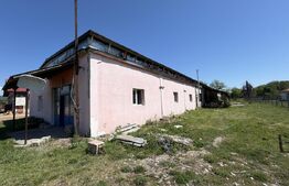 Spatiu industial 800 mp si curte 3800 mp, zona Pestisani