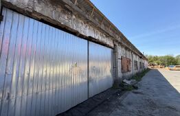 Spatiu industial 800 mp si curte 3800 mp, zona Pestisani