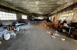 Spatiu industial 800 mp si curte 3800 mp, zona Pestisani