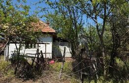 Casa cu teren 1100 mp și hala în curte, sat Cârbești