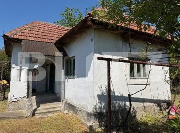 Casa de vânzare 2 camere Exterior Sud - 194458CV | BLITZ Târgu Jiu | Poza3