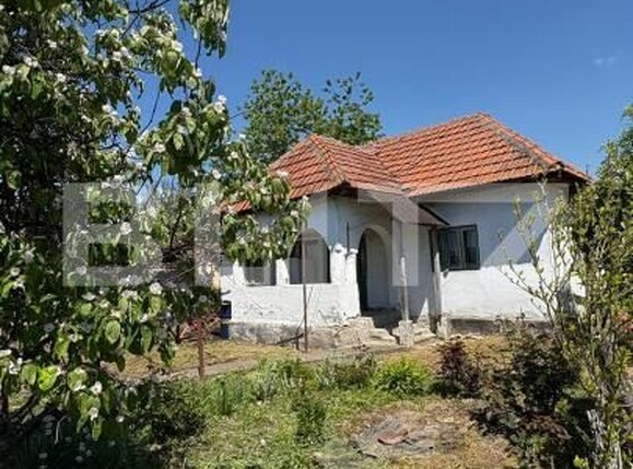Casa de vânzare 2 camere Exterior Sud - 194458CV | BLITZ Târgu Jiu | Poza1