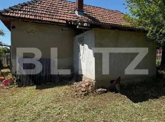 Casa de vânzare 2 camere Exterior Sud - 194458CV | BLITZ Târgu Jiu | Poza7