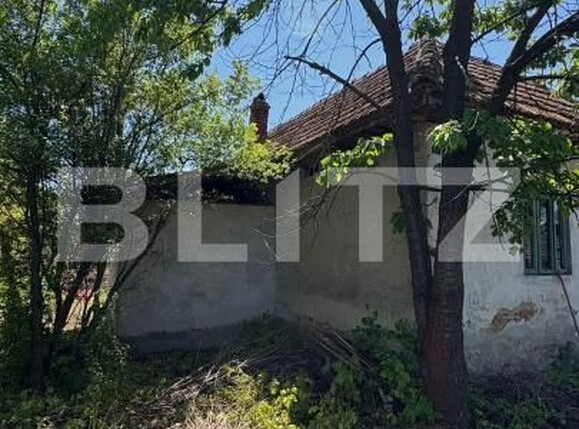 Casa de vânzare 2 camere Exterior Sud - 194458CV | BLITZ Târgu Jiu | Poza6
