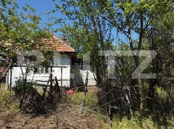 Casa de vânzare 2 camere Exterior Sud - 194458CV | BLITZ Târgu Jiu | Poza5
