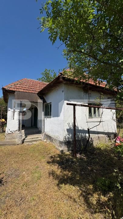Casa de vânzare 2 camere Exterior Sud - 194458CV | BLITZ Târgu Jiu | Poza3