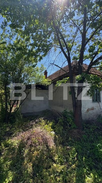 Casa de vânzare 2 camere Exterior Sud - 194458CV | BLITZ Târgu Jiu | Poza6