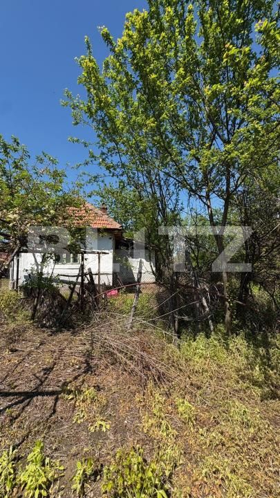 Casa de vânzare 2 camere Exterior Sud - 194458CV | BLITZ Târgu Jiu | Poza5