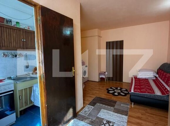 Garsonieră de vânzare Lotrului - 194481AV | BLITZ Târgu Jiu | Poza2