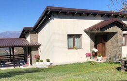 Casa de vânzare 3 camere Preajba - 193111CV | BLITZ Târgu Jiu | Poza4