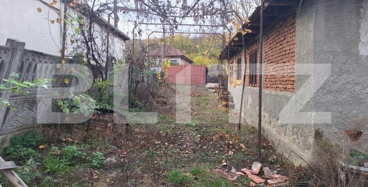 Casa de vânzare 3 camere Barbatesti - 196316CV | BLITZ Târgu Jiu | Poza2