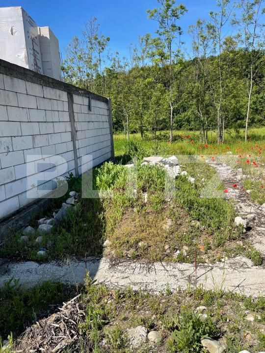 Casa de vânzare 4 camere Exterior Est - 196995CV | BLITZ Târgu Jiu | Poza3