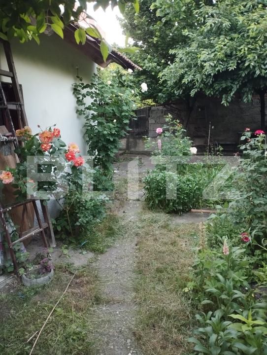 Casa de vânzare 3 camere Vest - 197294CV | BLITZ Târgu Jiu | Poza2