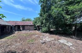Casa si Teren - 6870 mp, Comuna Arcani