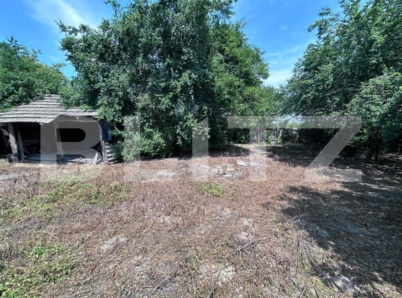 Casa de vânzare 3 camere Exterior Est - 197338CV | BLITZ Târgu Jiu | Poza3