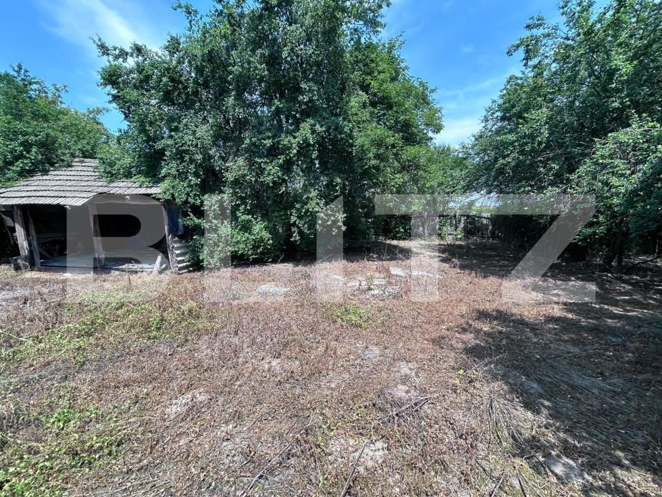 Casa de vânzare 3 camere Exterior Est - 197338CV | BLITZ Târgu Jiu | Poza3