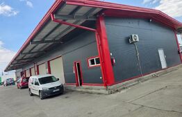 Hala industriala, 580 mp, zona ARTEGO